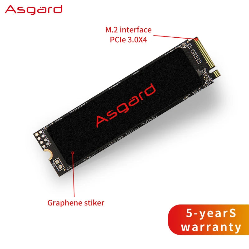 NVME 1 TERA ASGARD
