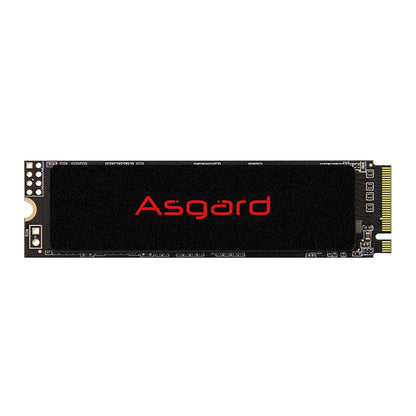 NVME 1 TERA ASGARD