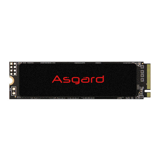 NVME 1 TERA ASGARD