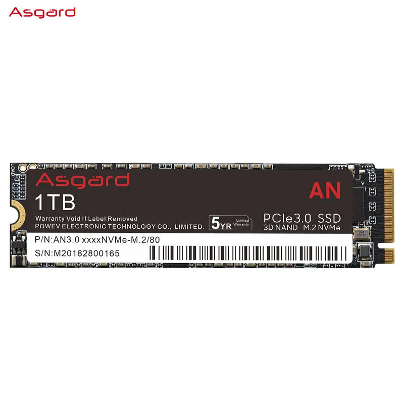 NVME 1 TERA ASGARD